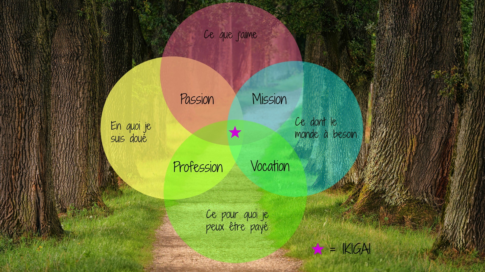 Exercice-Ikigai-article-chemin-de-vie